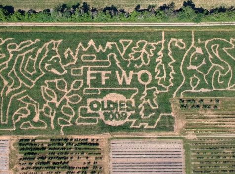 an aerial view of a corn maze in a field.
