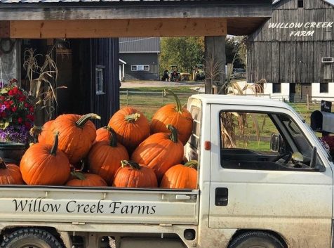 a truck with pumpkins in the back of it.