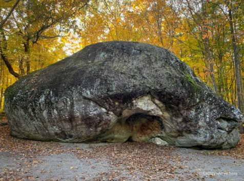 a large rock in the middle of a forest.