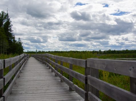 a wooden bridge over a grassy field under a cloudy sky.