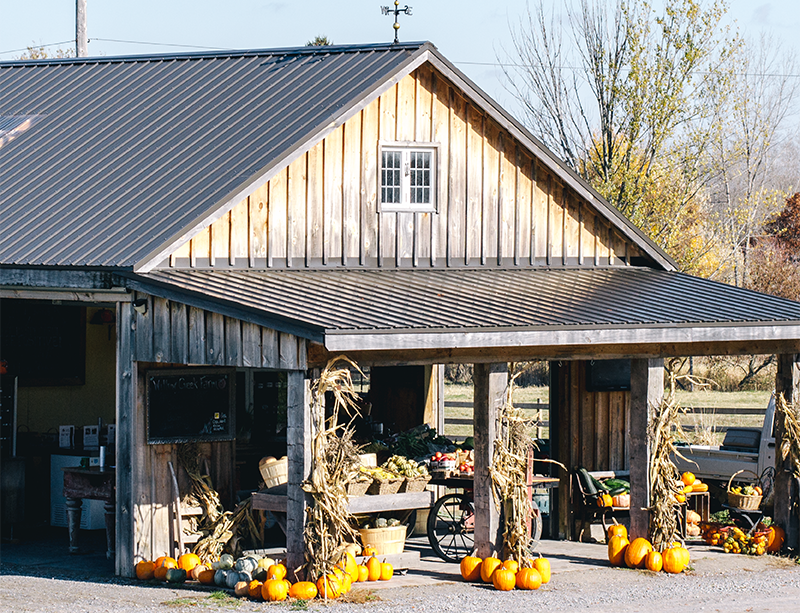 a barn with pumpkins and corn on the ground.