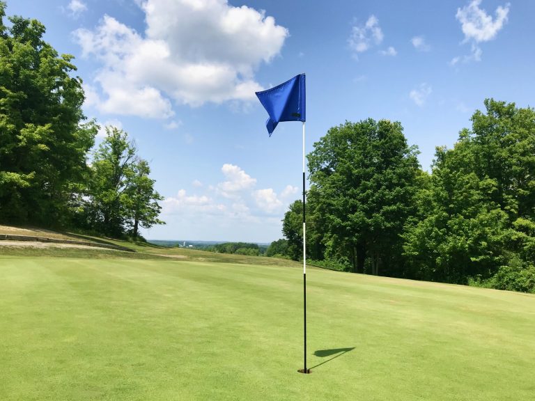 a blue flag on a golf course with trees in the background.