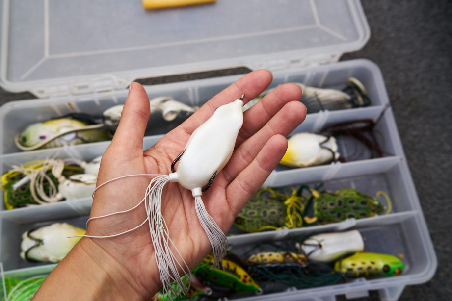 a person holding a plastic container filled with different types of fishing lures.