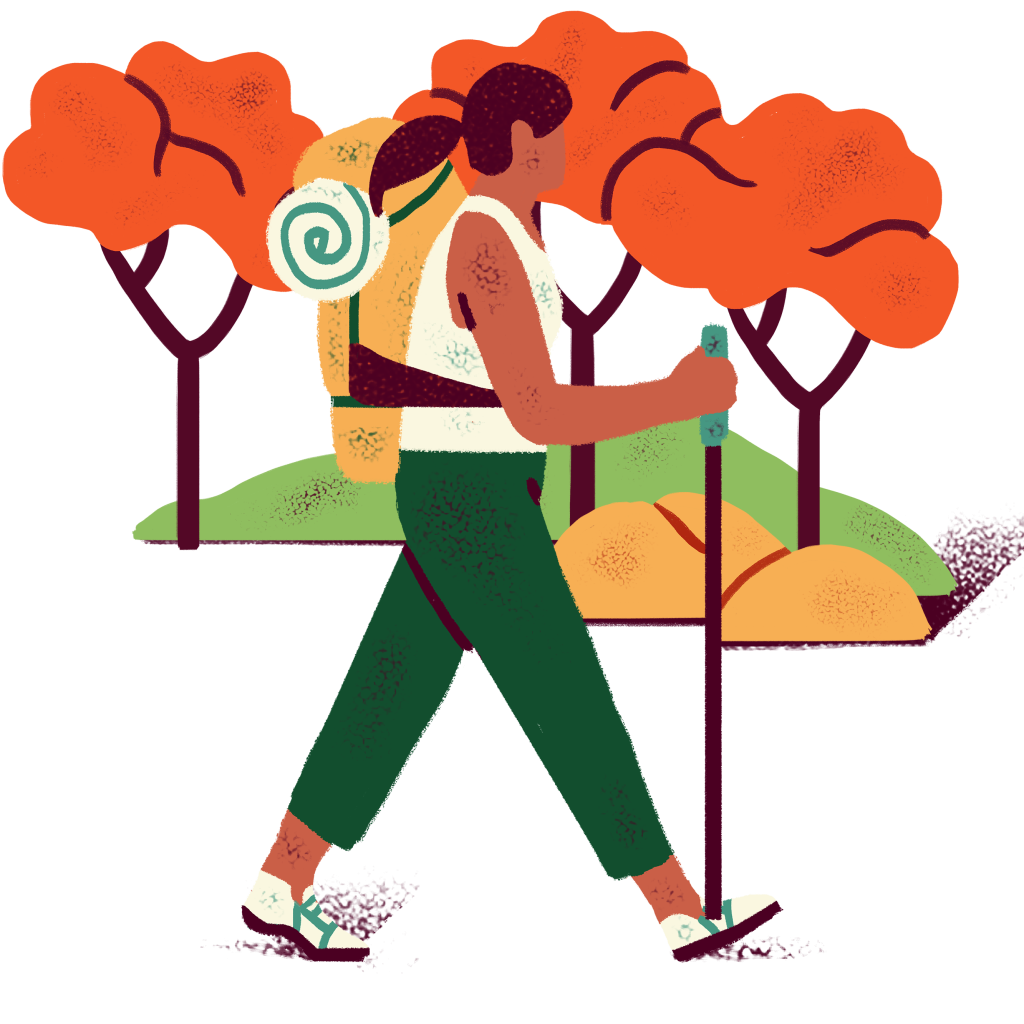 Illustrated image of fall trees with a hiker in front.