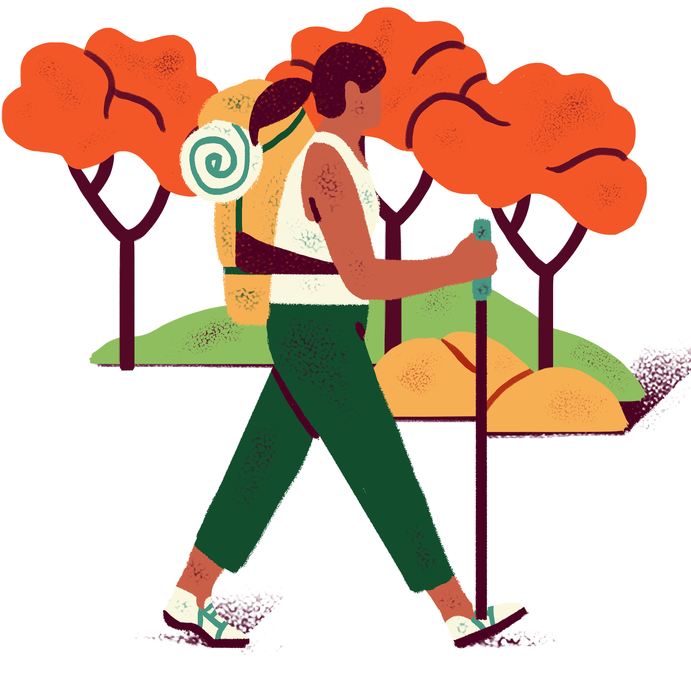 Illustrated image of fall trees with a hiker in front.