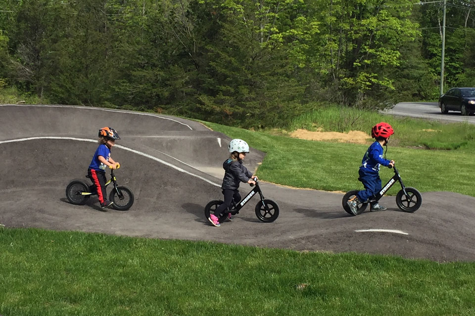 a group of children riding bikes on a road.