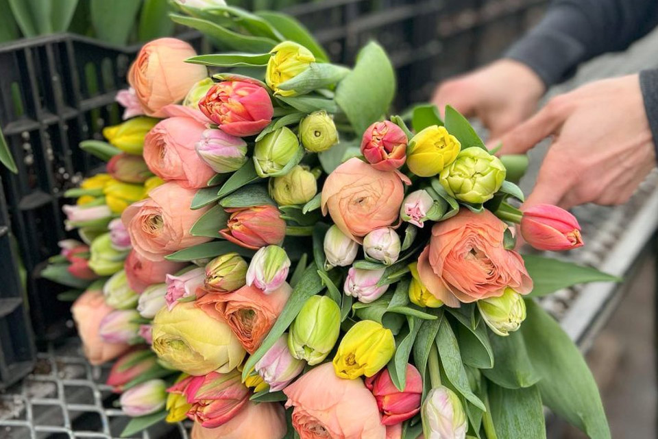 a person is holding a bouquet of tulips.