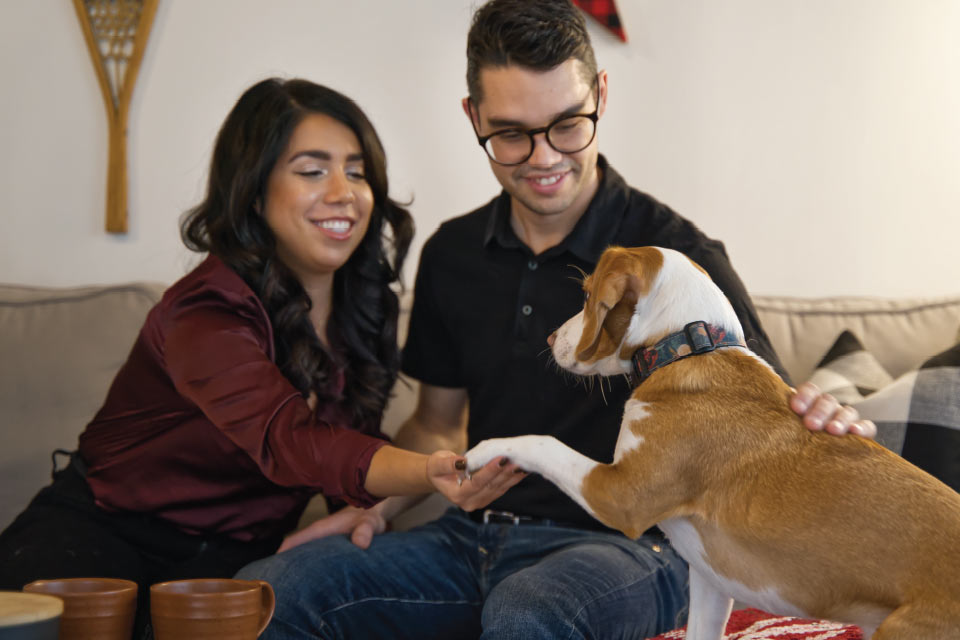 a man and woman sitting on a couch petting a dog.