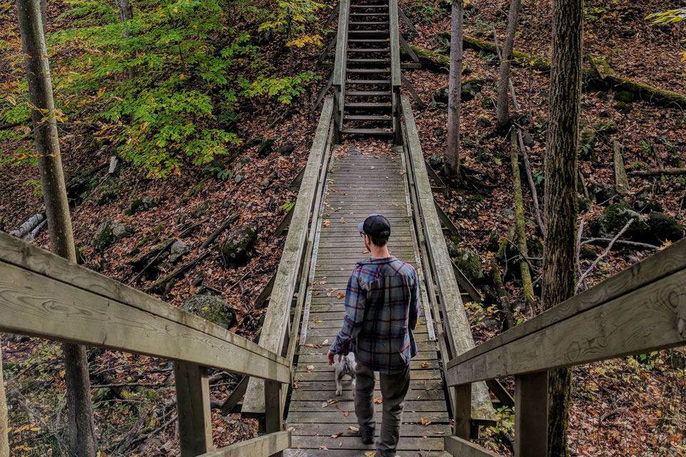 a man standing on a wooden bridge in the woods.