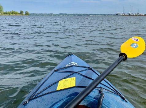 a blue kayak with a yellow oar in the water.