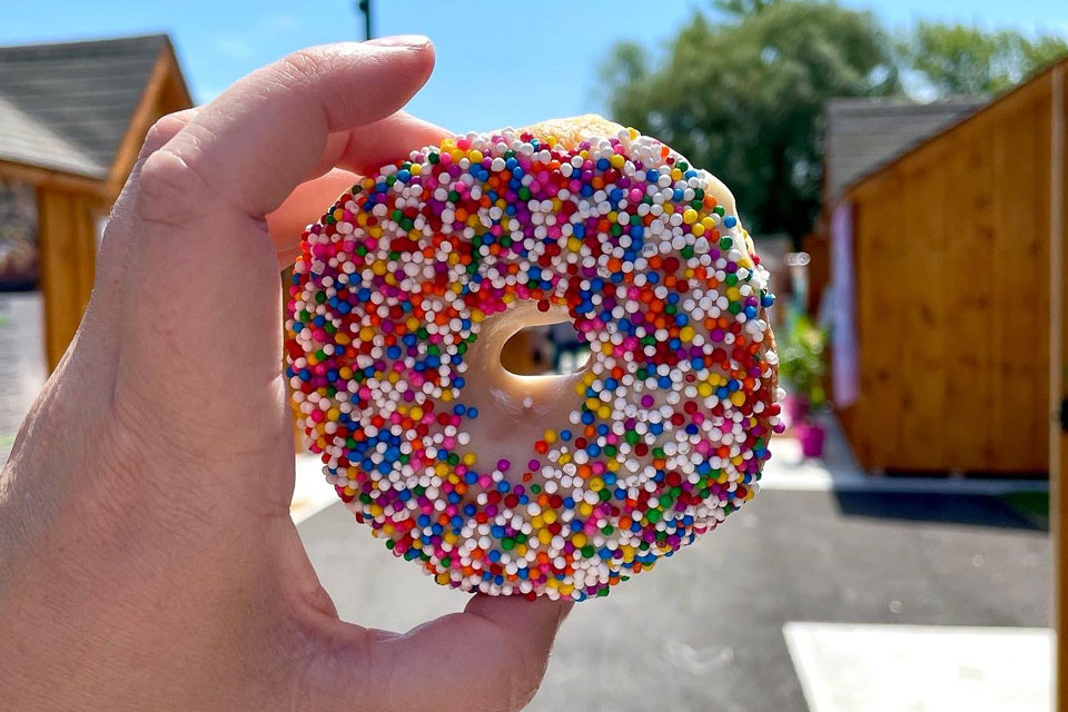 a hand holding a donut covered in sprinkles.