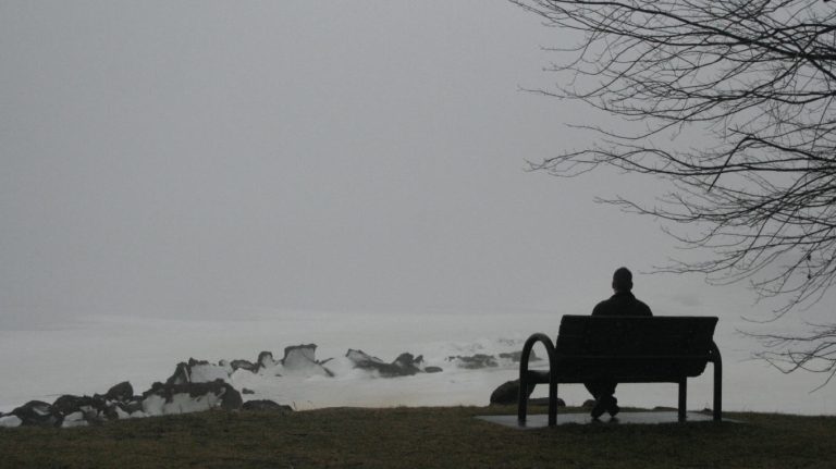 a person sitting on a bench in a field.