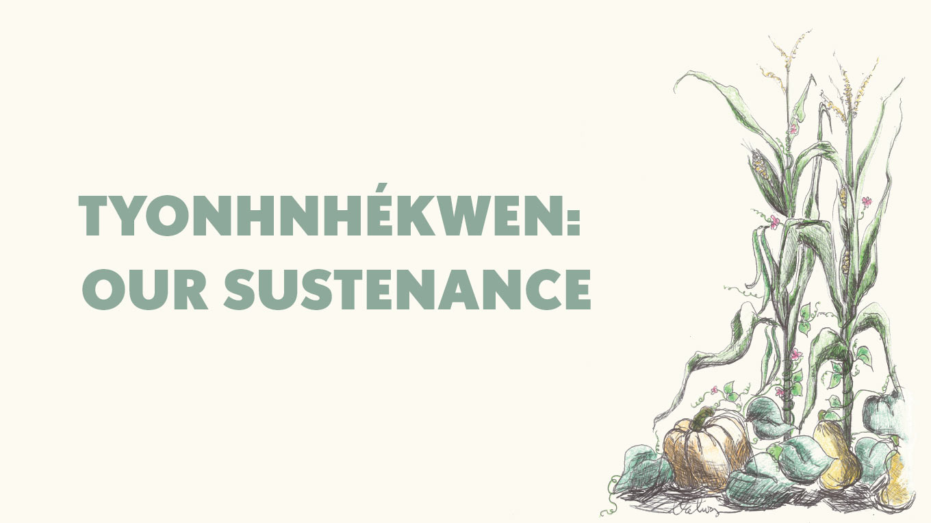 a drawing of a plant with the words tyhnhekwen our substance.