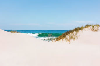 a view of the ocean from a sand dune.
