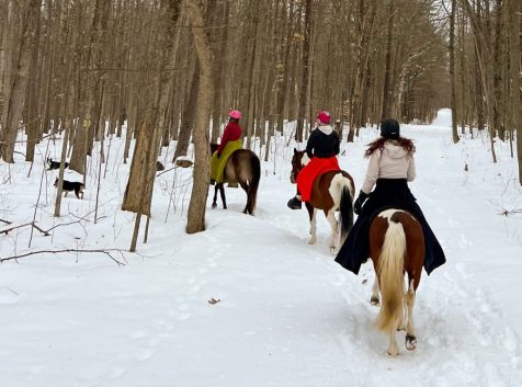 a group of people riding horses through a snow covered forest.