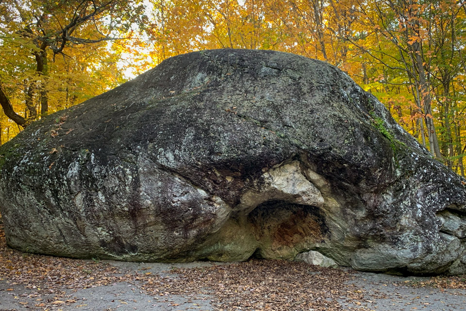 a large rock sitting in the middle of a forest.