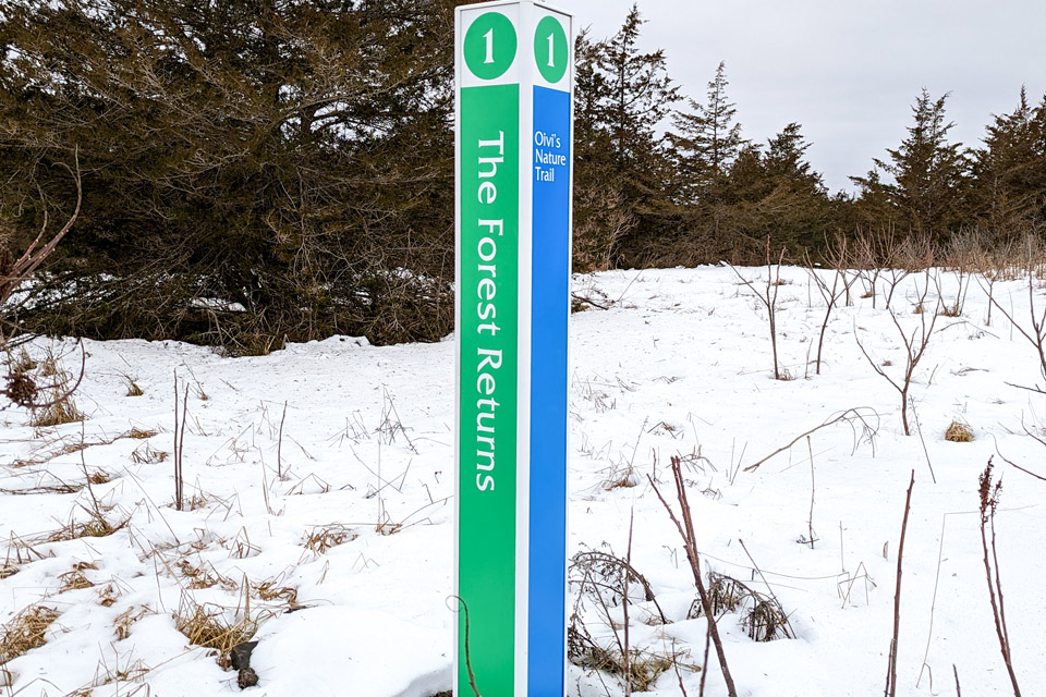 a blue and green sign in the snow.