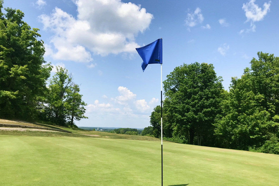 a blue flag on a green golf course.