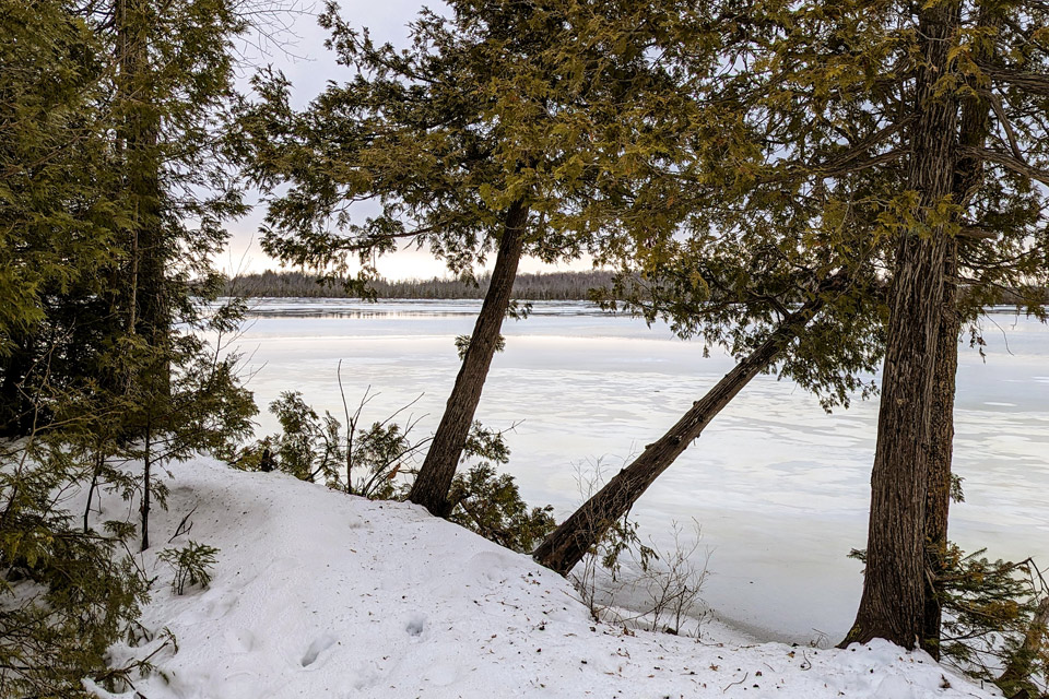a frozen lake with trees and snow on the ground.