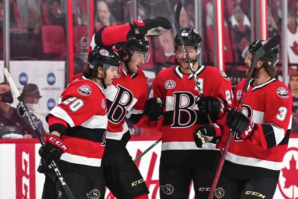 a group of hockey players are celebrating a goal.