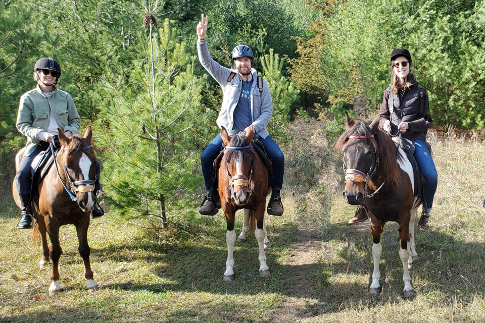 a group of people riding horses in a wooded area.