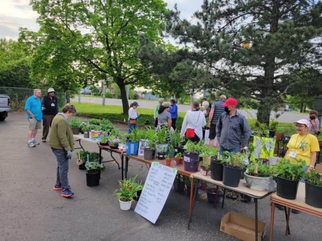 image of outdoor garden sale with vendors and plants.
