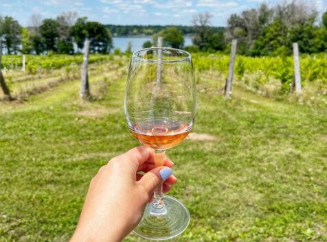 woman's hand holding a glass of rose with the vineyard in the background