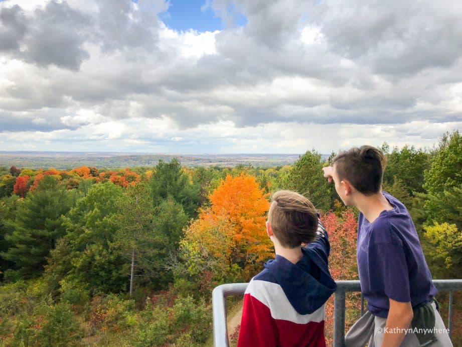 two boys looking out at the vista of fall colours from a lookout tower