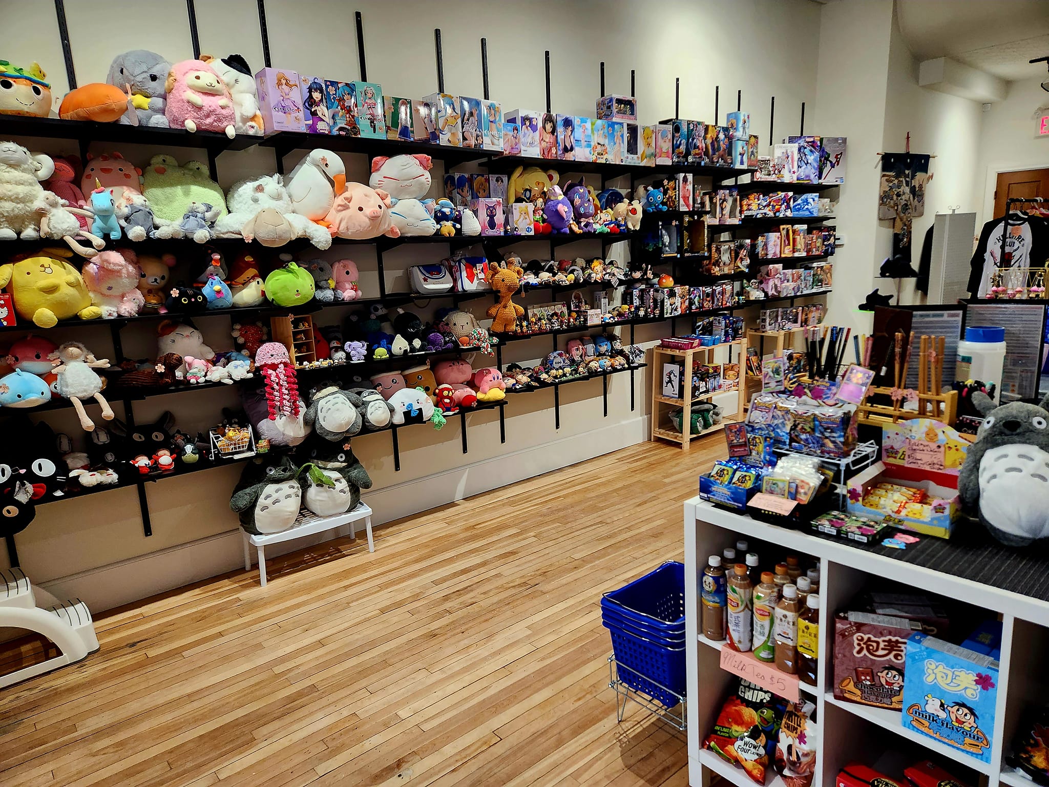 Behind the Storefront: Doki Doki in Downtown Belleville