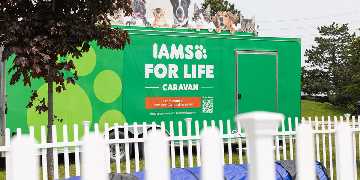 Photo of a trailer with Iams dog food branding. Has a sticker that say Iams for life. The trailer is green.