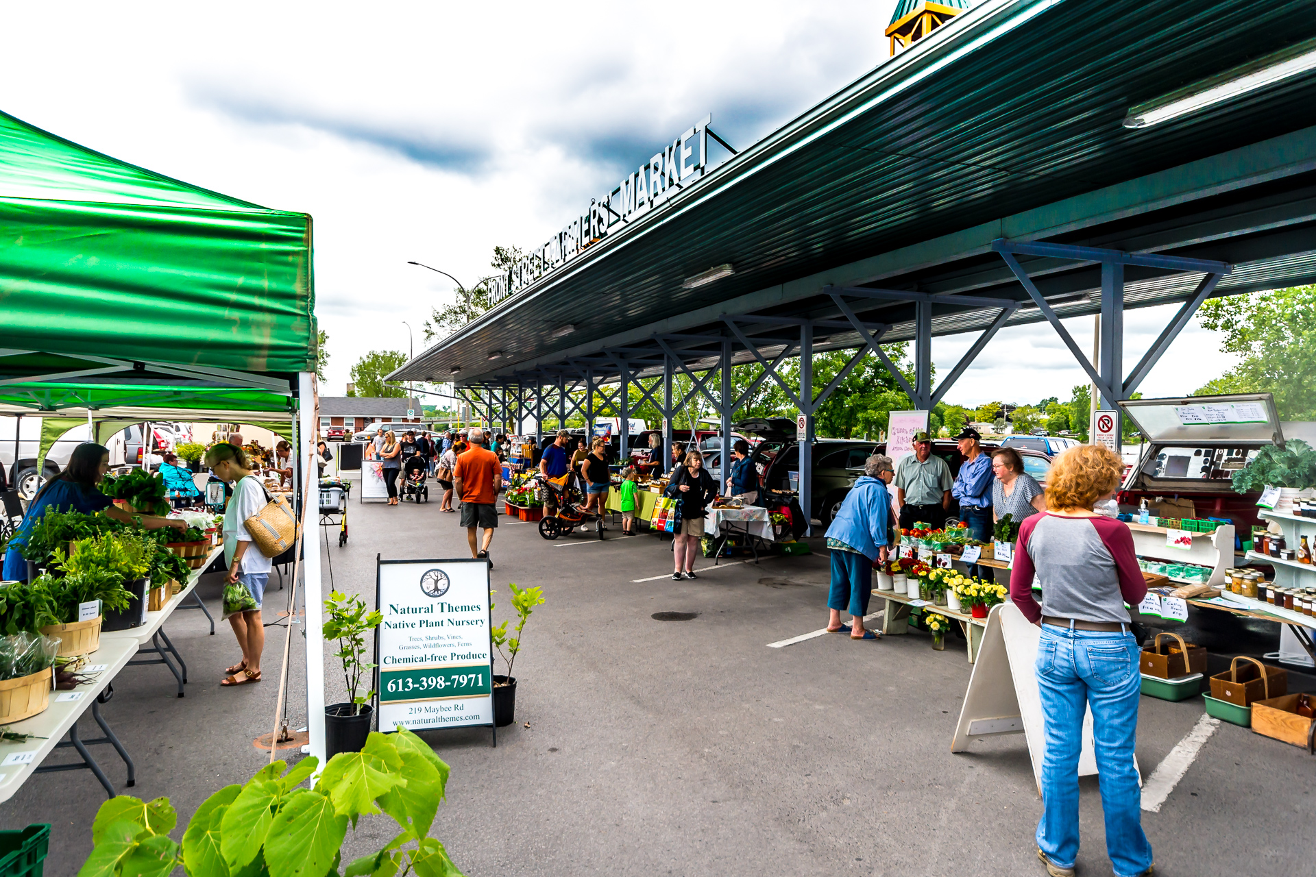 Photo of an outdoor Farmer's Market scene with individuals shopping.