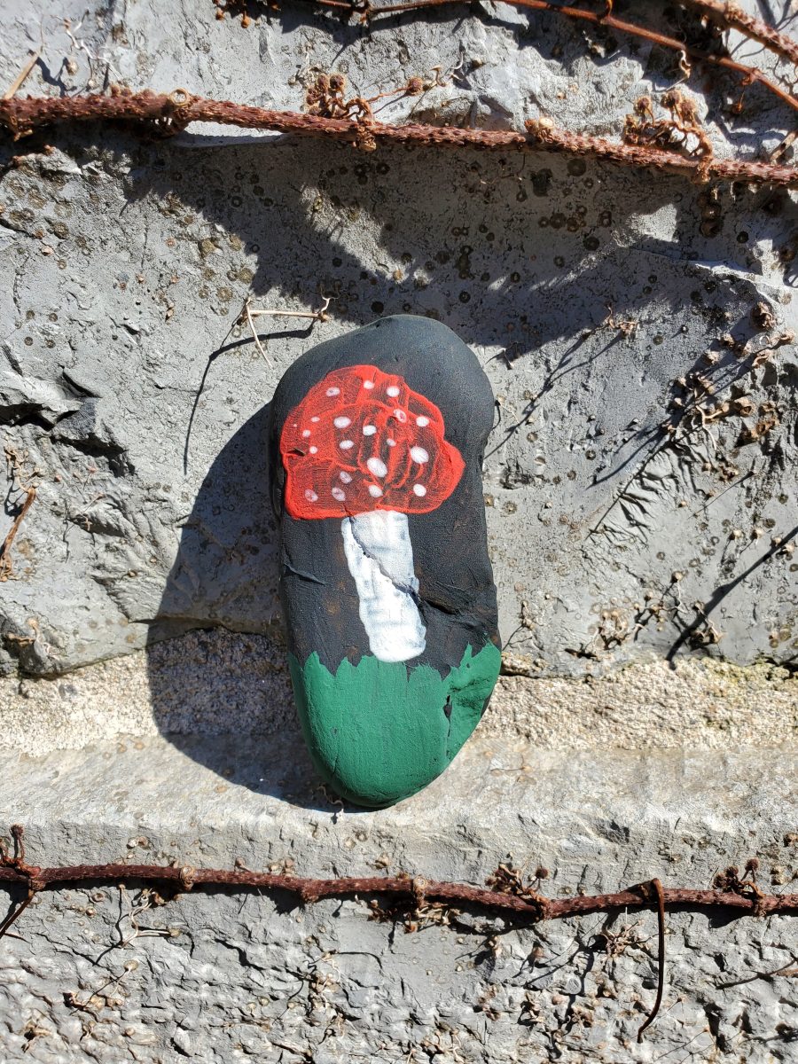 rock with a painting of a mushroom on it