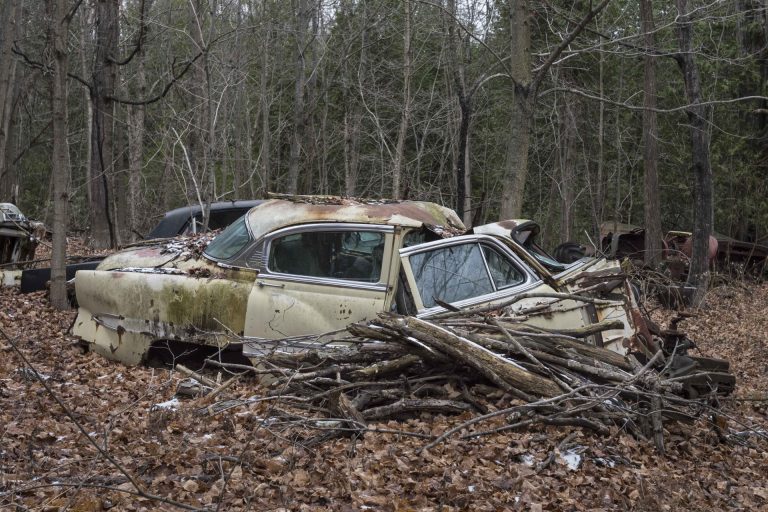 Photo of a abandoned car in the woods