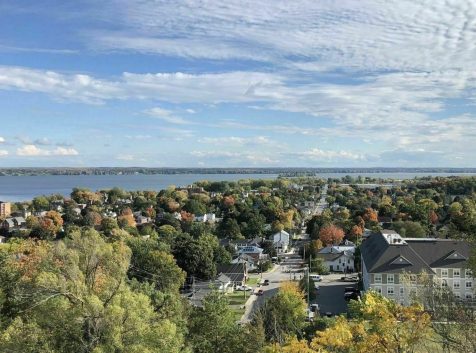 A photo take from a high up vista of a tree lined neighbourhood with a body of water in the background.