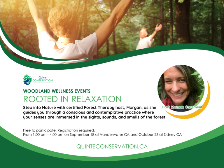 Poster for event with details and photo of someone doing yoga in the forest.