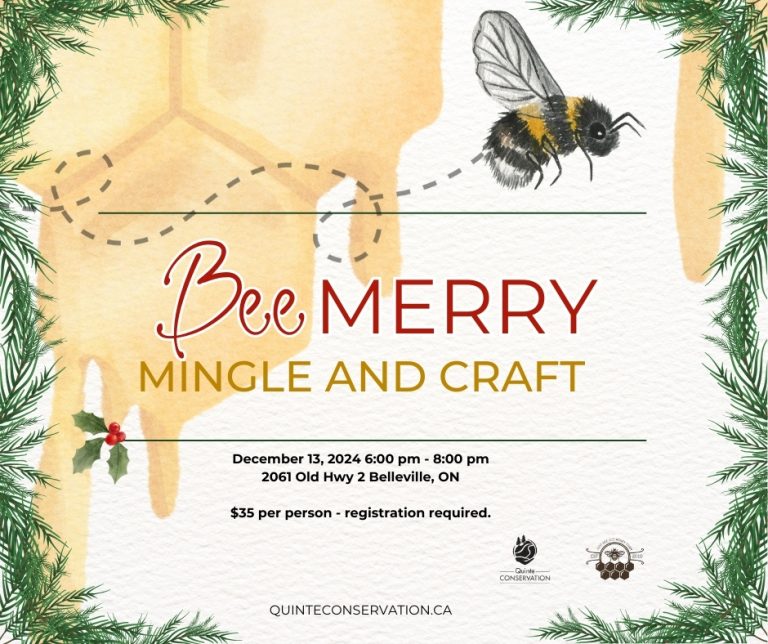 Poster for event with a graphic of a bee and event details