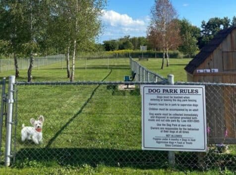 Image of a fenced dog park
