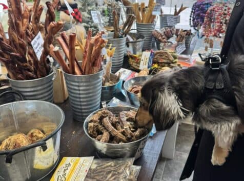 Image of the inside of a pet store with a dog sniffing some bones