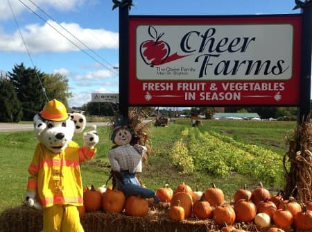 Image of Cheer Farms sign with pumpkins