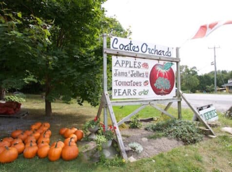 Image of an orchard sign with pumpkin around the bottom