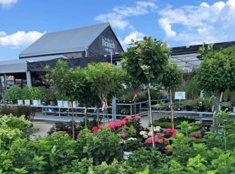 Image of a plant nursery