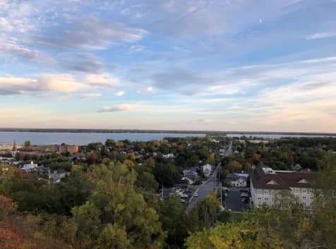 Image of a vista overlooking a town and body of water