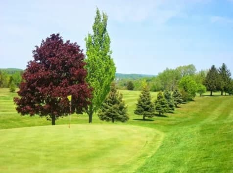 Image of a golf course green
