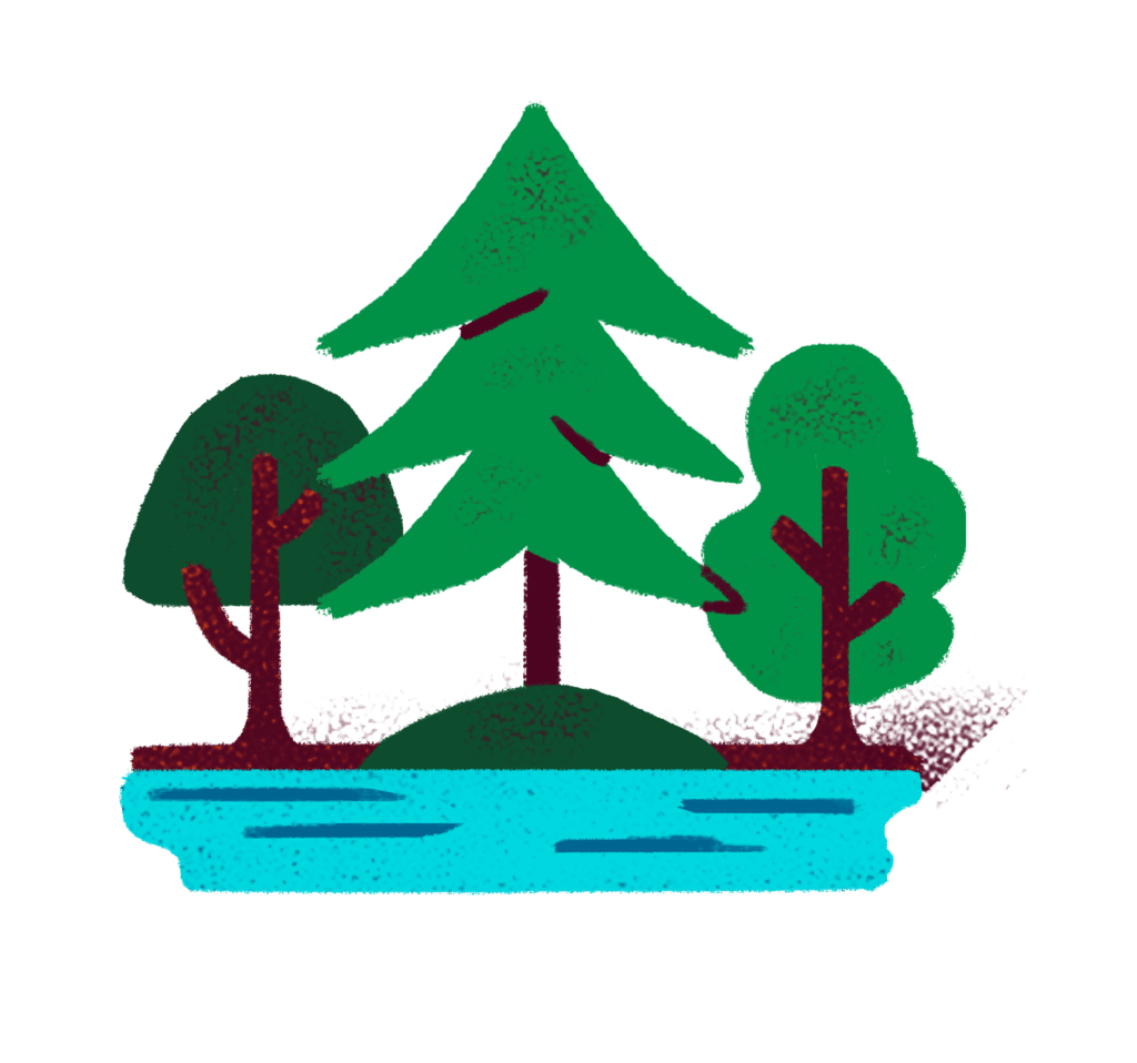 Illustration of three trees on water