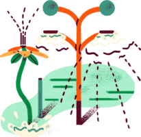 BOQ-2018-Icon-Splash-Pad-Final