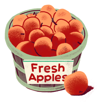Fresh apples in a bucket.