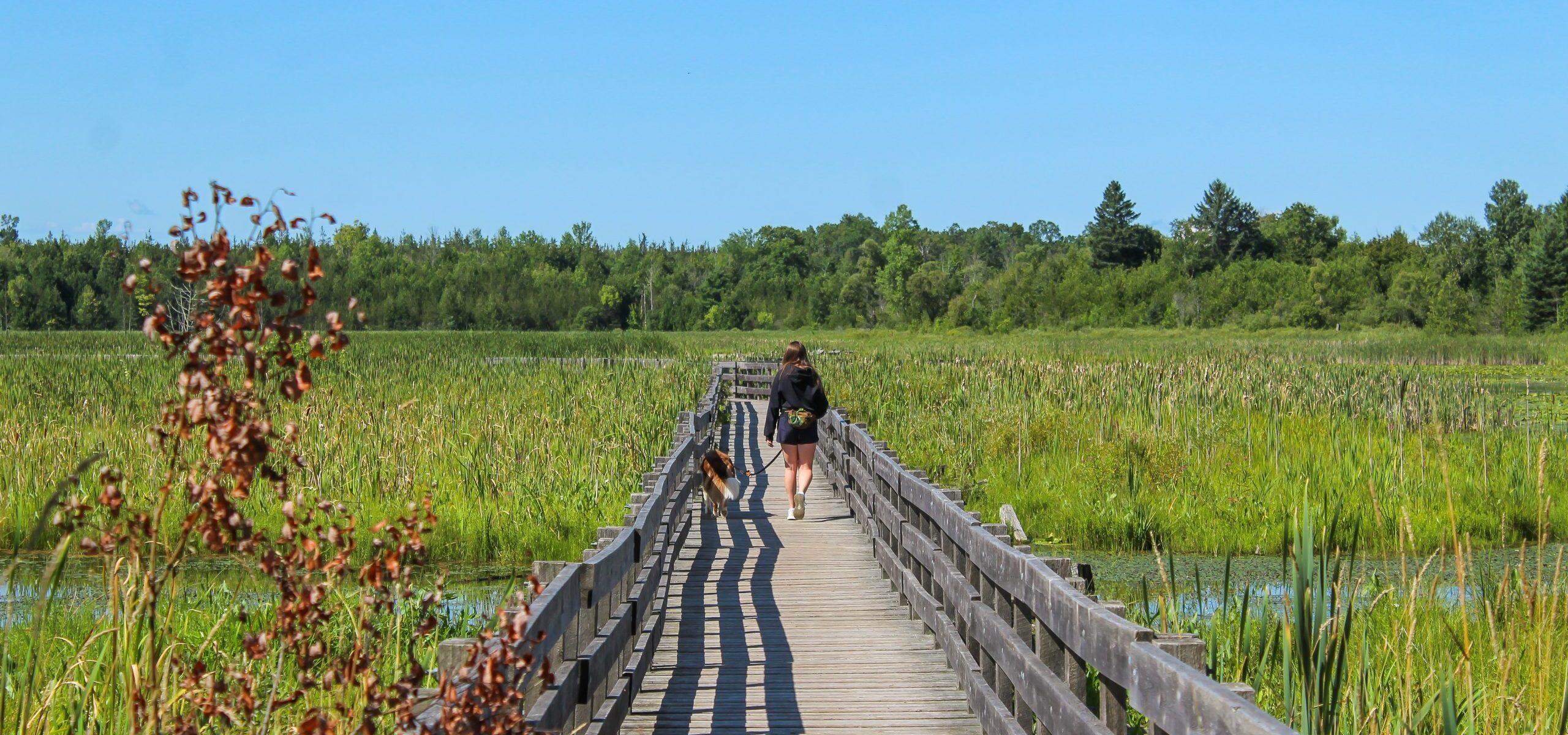 Hikes and Nature Strolls