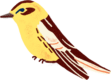 Warbler